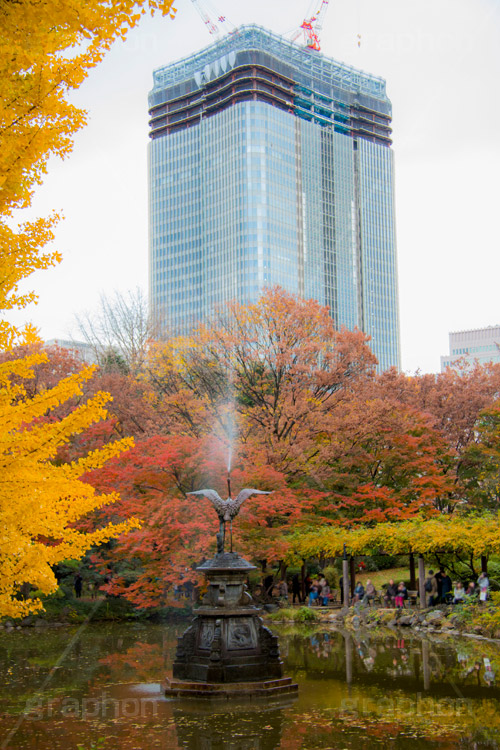 日比谷公園の紅葉,日比谷公園,千代田区,日比谷,公園,紅葉,落ち葉,秋,もみじ,モミジ,いちょう,イチョウ,銀杏,建設,工事,都立公園,霞が関,有楽町,紅葉狩り,季語,噴水,池,東京ミッドタウン日比谷,japan,autumn