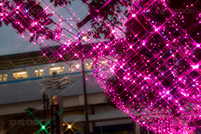 高円寺イルミネーション,イルミネーション,イルミ,illumination,pink,電飾,電球,発光ダイオード,LED,冬,キラキラ,綺麗,きれい,キレイ,煌,輝,都内,クリスマス,高円寺,杉並区,駅前,南口広場,広場,ピンク,クロスフィルタ