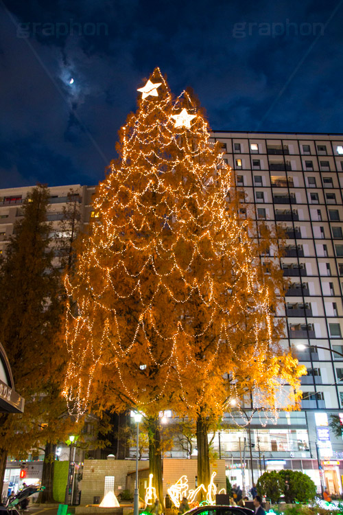 阿佐ヶ谷のイルミネーション,クリスマスツリー,ツリー,イルミネーション,イルミ,illumination,Christmas,電飾,電球,冬,キラキラ,綺麗,きれい,キレイ,煌,輝,都内,クリスマス,阿佐ヶ谷,あさがや,駅前,新宿区,ロータリー