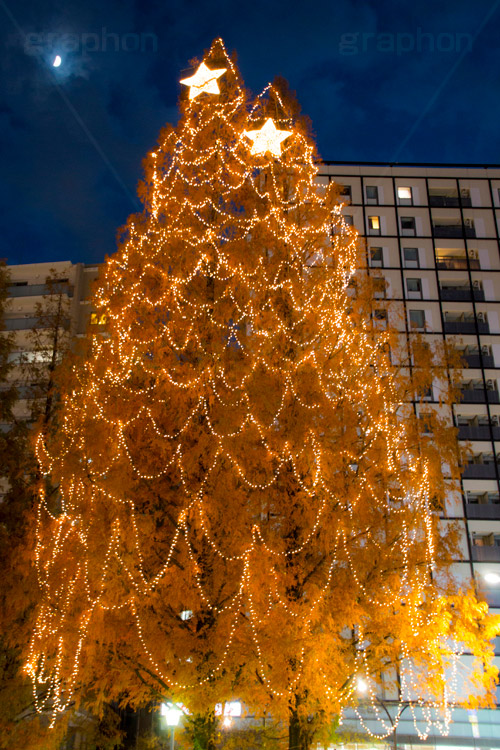 阿佐ヶ谷のイルミネーション,クリスマスツリー,ツリー,イルミネーション,イルミ,illumination,Christmas,電飾,電球,冬,キラキラ,綺麗,きれい,キレイ,煌,輝,都内,クリスマス,阿佐ヶ谷,あさがや,駅前,新宿区,ロータリー