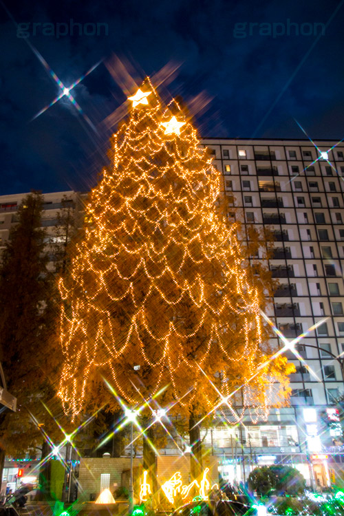 阿佐ヶ谷のイルミネーション,クリスマスツリー,ツリー,イルミネーション,イルミ,illumination,Christmas,電飾,電球,冬,キラキラ,綺麗,きれい,キレイ,煌,輝,都内,クリスマス,阿佐ヶ谷,あさがや,駅前,新宿区,クロスフィルタ,ロータリー