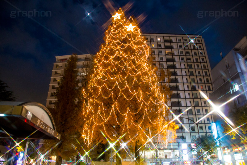 阿佐ヶ谷のイルミネーション,クリスマスツリー,ツリー,イルミネーション,イルミ,illumination,Christmas,電飾,電球,冬,キラキラ,綺麗,きれい,キレイ,煌,輝,都内,クリスマス,阿佐ヶ谷,あさがや,駅前,新宿区,クロスフィルタ,ロータリー