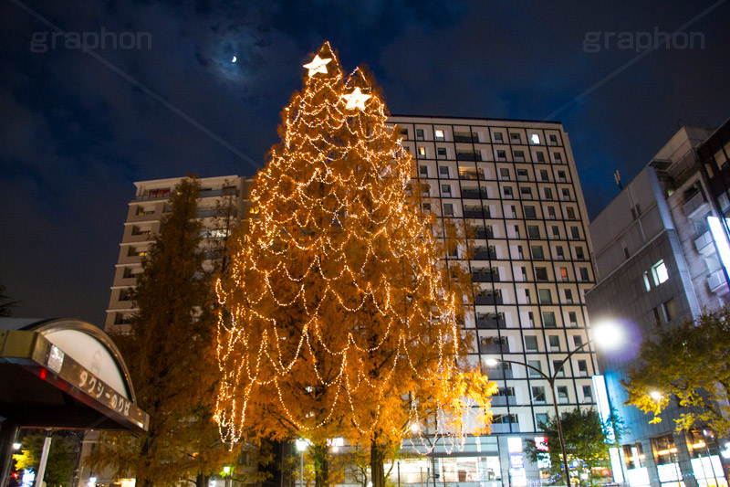 阿佐ヶ谷のイルミネーション,クリスマスツリー,ツリー,イルミネーション,イルミ,illumination,Christmas,電飾,電球,冬,キラキラ,綺麗,きれい,キレイ,煌,輝,都内,クリスマス,阿佐ヶ谷,あさがや,駅前,新宿区,ロータリー