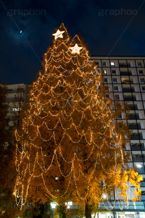 阿佐ヶ谷のイルミネーション,クリスマスツリー,ツリー,イルミネーション,イルミ,illumination,Christmas,電飾,電球,冬,キラキラ,綺麗,きれい,キレイ,煌,輝,都内,クリスマス,阿佐ヶ谷,あさがや,駅前,新宿区,ロータリー