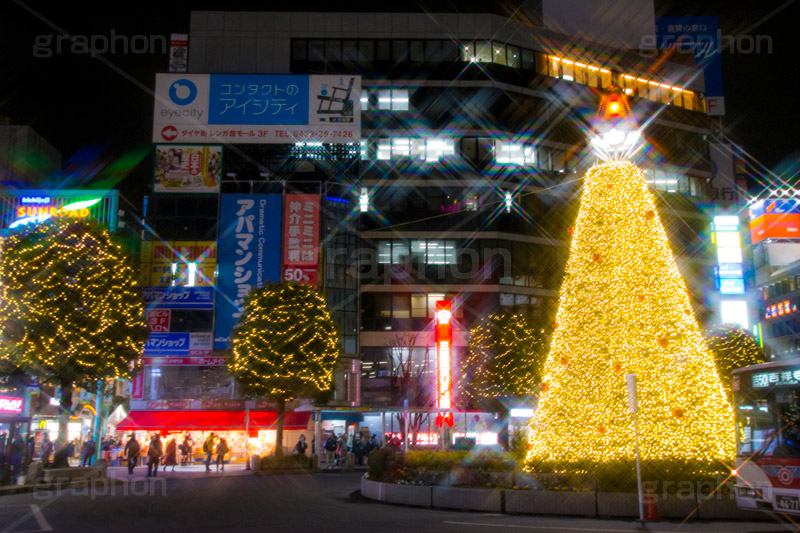 吉祥寺のイルミネーション,クリスマスツリー,ツリー,イルミネーション,イルミ,illumination,Christmas,電飾,電球,冬,キラキラ,綺麗,きれい,キレイ,煌,輝,クリスマス,吉祥寺,駅前,武蔵野市,ロータリー,クロスフィルタ