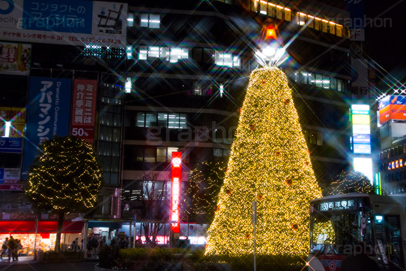 吉祥寺のイルミネーション,クリスマスツリー,ツリー,イルミネーション,イルミ,illumination,Christmas,電飾,電球,冬,キラキラ,綺麗,きれい,キレイ,煌,輝,クリスマス,吉祥寺,駅前,武蔵野市,ロータリー,クロスフィルタ