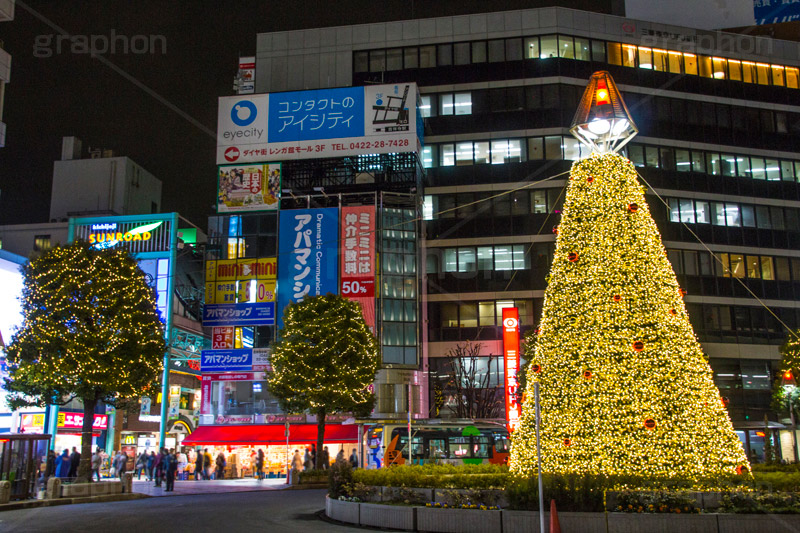 吉祥寺のイルミネーション,クリスマスツリー,ツリー,イルミネーション,イルミ,illumination,Christmas,電飾,電球,冬,キラキラ,綺麗,きれい,キレイ,煌,輝,クリスマス,吉祥寺,駅前,武蔵野市,ロータリー
