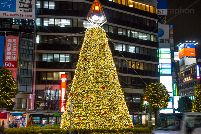 吉祥寺のイルミネーション,クリスマスツリー,ツリー,イルミネーション,イルミ,illumination,Christmas,電飾,電球,冬,キラキラ,綺麗,きれい,キレイ,煌,輝,クリスマス,吉祥寺,駅前,武蔵野市,ロータリー
