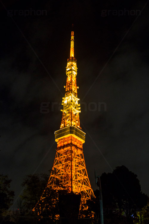 東京タワーのライトアップ,東京タワー,タワー,総合電波塔,電波,塔,日本電波塔,333m,とうきょうタワー,Tokyo Tower,港区,東京のシンボル,観光名所,light up,夜景,ライトアップ,赤,夜,japan