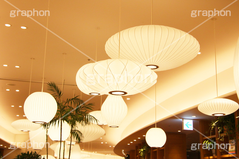 照明,ライト,電気,光,照明器具,ライティング,インテリア,明,天井,吊,店舗