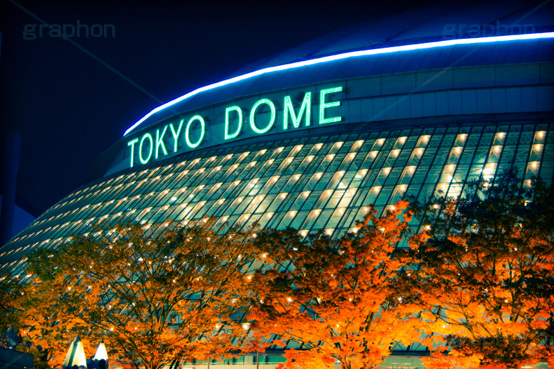 DOME(ヴィンテージ),トイカメラ撮影,トイカメラ,ヴィンテージ,ビンテージ,レトロ,お洒落,おしゃれ,オシャレ,味わい,トンネル効果,東京ドーム