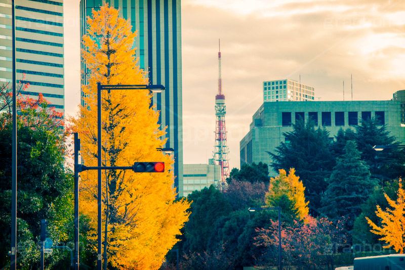 東京タワーと紅葉(ヴィンテージ),トイカメラ撮影,トイカメラ,ヴィンテージ,ビンテージ,レトロ,お洒落,おしゃれ,オシャレ,味わい,トンネル効果,イチョウ