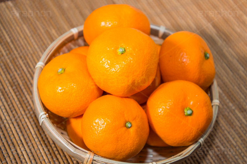 かごに入ったみかん,みかん,ミカン,蜜柑,オレンジ,果樹,果実,フルーツ,果物,くだもの,爽やか,甘酸っぱい,冬,かご,カゴ,籠,ビタミン,狩り,こたつ,炬燵,コタツ,食後,デザート,季節感,正月,お正月,japan