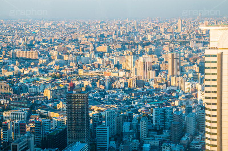東京の街並み,街,街並み,新宿,景色,展望,展望台,都庁,東京,夜,ビル,ビル群,高層ビル,オフィスビル,ビジネス街,shinjuku,building,office,tokyo