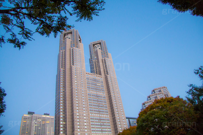 都庁,東京都庁,とちょう,都知事,執行機関,行政,高層ビル,新宿,新宿区,第一本庁舎,庁舎,真下,見上げ,shinjuku