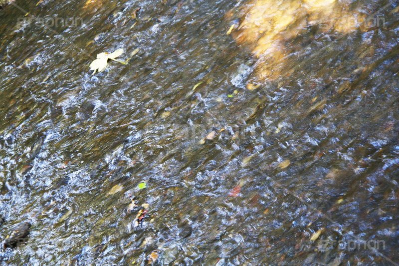 川の流れ,川,川原,河原,流れ,かわ,自然,水面,波紋,水,透,テクスチャ,テクスチャ―,自然,水系,texture,river