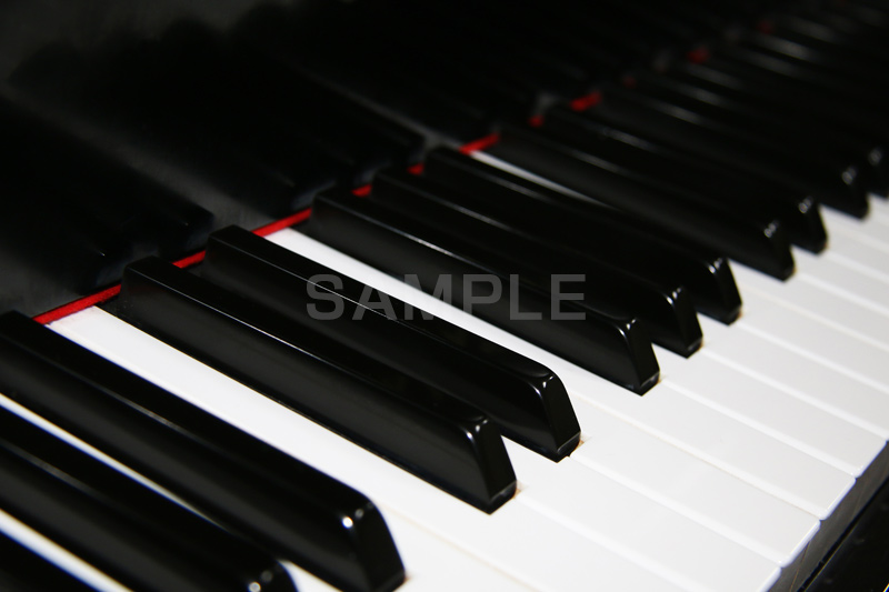 ピアノ,ぴあの,鍵盤,楽器,音楽,演奏,レッスン,コンサート,piano,曲,弾,白黒,弾いてみた,演奏してみた,ミュージック,連番,伴奏,音色,作曲,メロディ,melody,music,concert