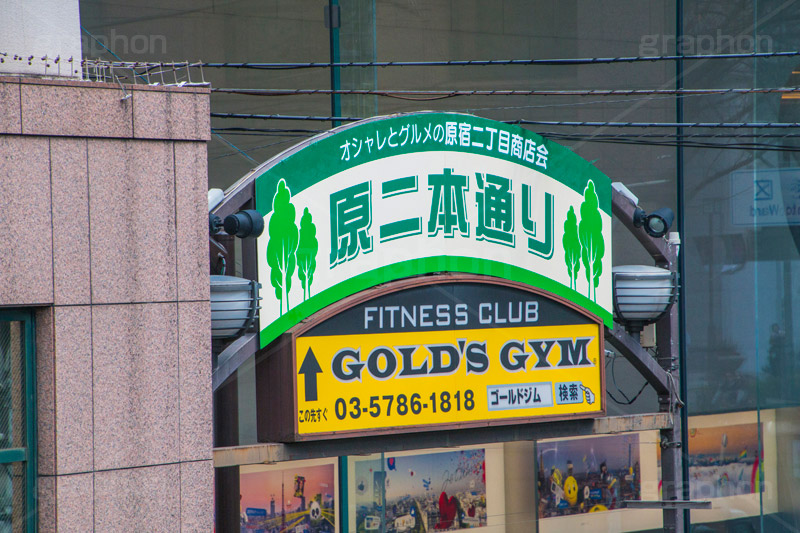 原二本通り,商店街,表参道,並木,並木道,ケヤキ並木,参道,青山通り,神宮前,大通り,渋谷区,青山,高級ブランド,旗艦店,買い物,ショッピング,ショップ,shop,shopping,brand