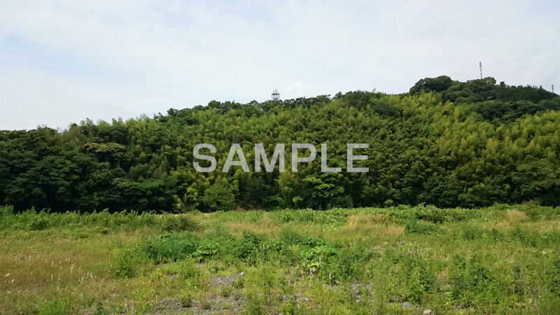 夏の川原,川原,河原,流れ,かわ,雑草,山,地形,草,草木,自然,スマホ撮影