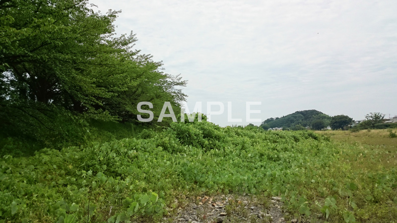 夏の川原,川原,河原,流れ,かわ,雑草,山,地形,草,草木,自然,スマホ撮影
