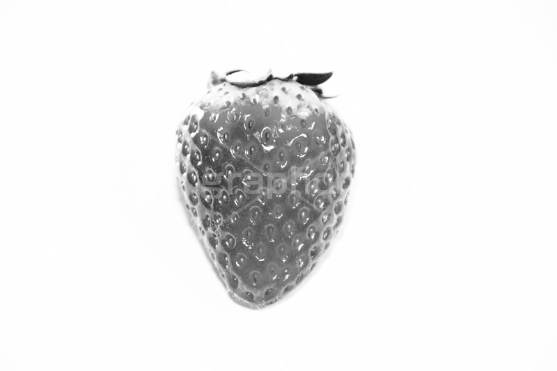 strawberry(モノクロ),モノクロ,白黒,しろくろ,モノクローム,単色画,単彩画,単色