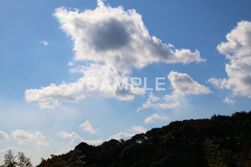 山,やま,自然,空,景色,山頂,雲,地形,草木