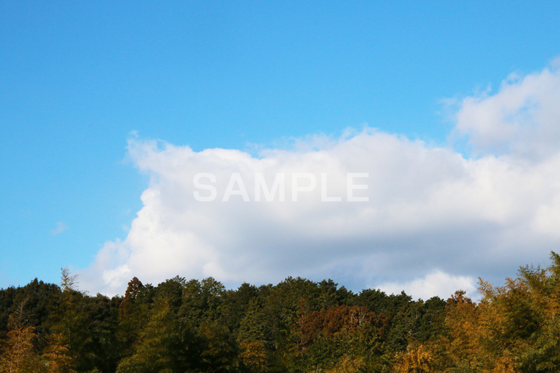 山,やま,自然,空,景色,山頂,雲,地形,草木