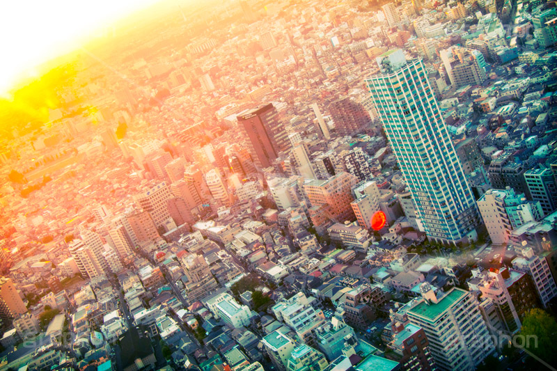TOKYO(ビンテージ),トイカメラ撮影,トイカメラ,ヴィンテージ,ビンテージ,レトロ,お洒落,おしゃれ,オシャレ,味わい,トンネル効果