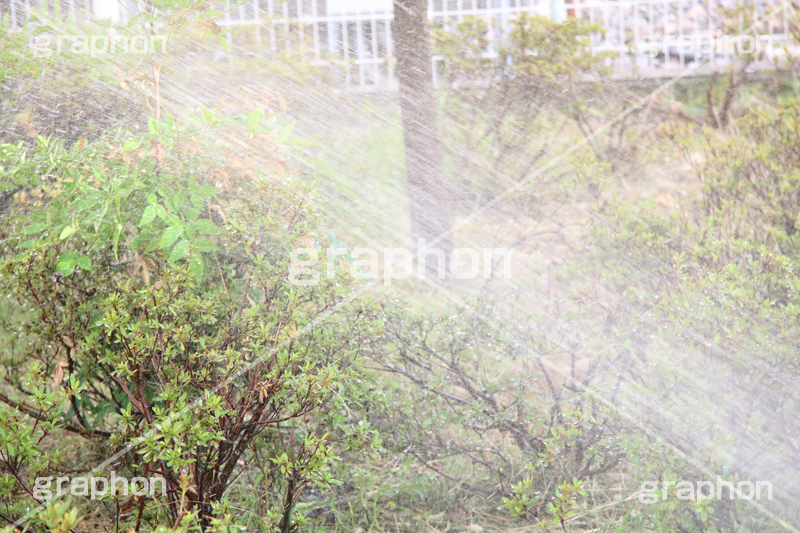 スプリンクラー,散布,ノズル,散水機,水撒き,装置,散水,ホース,植物,水まき