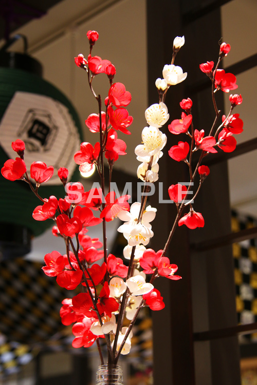 梅,うめ,お正月,正月,正月飾り,飾り,和,大晦日,縁起,清浄,new year,新年,年明け,年越し,年末,初詣,12/31,1/1,イベント,行事