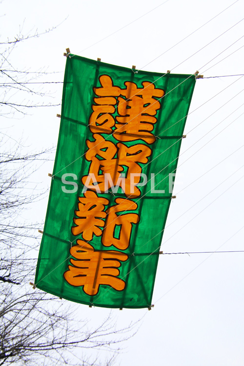 謹賀新年,謹賀,たこ,凧,凧あげ,お正月,正月,正月飾り,飾り,和,大晦日,縁起,清浄,new year,新年,年明け,年越し,年末,初詣,12/31,1/1,カイト,イベント,行事,仲見世,浅草,雷門,浅草寺,あさくさ,みやげ物,みやげ,お土産,商店街,台東区,正月,お正月,三が日,浅草 名所,浅草 観光,asakusa,japan