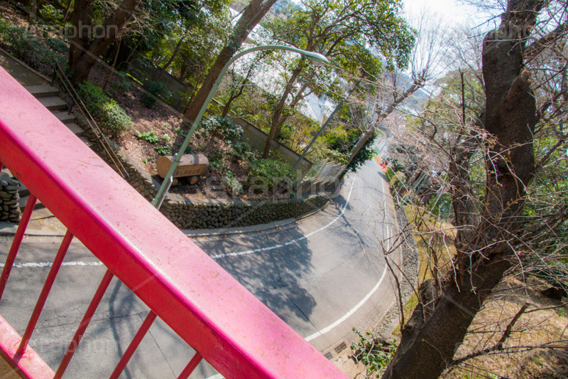 多摩川台公園,虹橋,公園,大田区,田園調布,台地,名所,広場,park,bridge,橋,赤い橋,坂,坂道