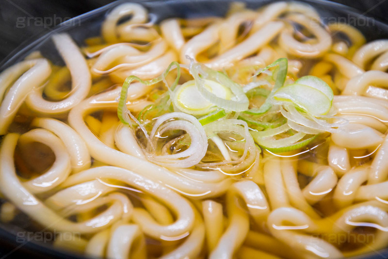 素うどん,うどん,饂飩,ウドン,だし,出汁,ダシ,小麦粉,日本料理,日本食,和食,つゆ,麺料理,麺類,ねぎ,薬味,シンプル,japan,simple