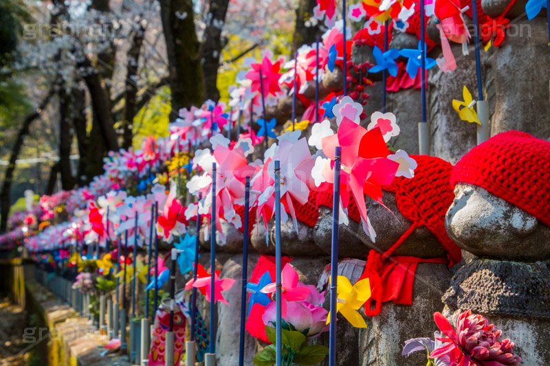 千躰子育地蔵尊,増上寺,芝公園,浄土宗,地蔵,お地蔵さん,子育て,安産,子供,こども,祈願,頭巾,赤い頭巾,風車,並ぶ,多い,大量,寺院,寺,参拝,重要文化財,文化財,港区,japan,temple