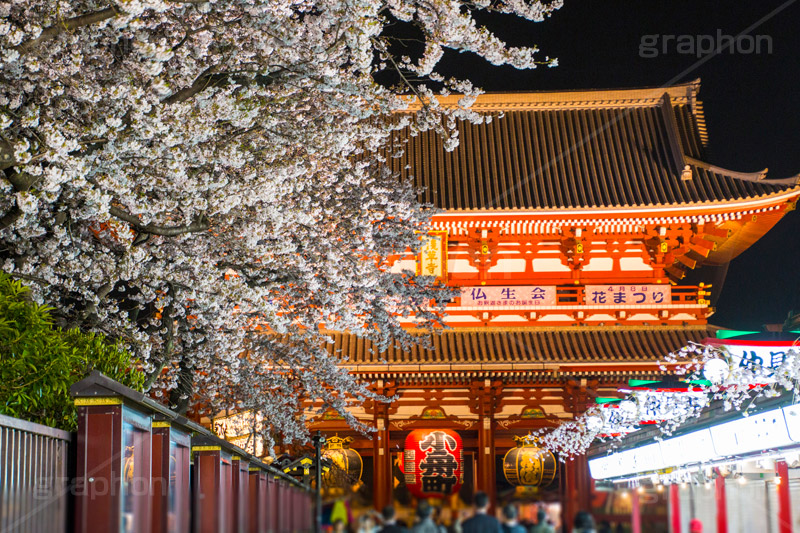 浅草寺の桜,仲見世,仲見世通り,浅草,雷門,宝蔵門,浅草寺,あさくさ,みやげ物,みやげ,お土産,商店,寺院建築風,台東区,浅草 名所,浅草 観光,asakusa,japan,blossom,さくら,桜,花まつり,まつり,祭り,ライトアップ,夜