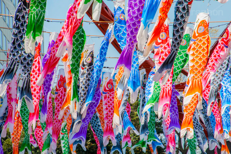 大量の鯉のぼり,大量,多い,こいのぼり,鯉のぼり,5月5日,端午,節句,供物,こどもの日,子供の日,こども,子供,男の子,東京タワー,とうきょうタワー,Tokyo Tower,event,kids,港区,和,文化,japan,風習,行事,なびく