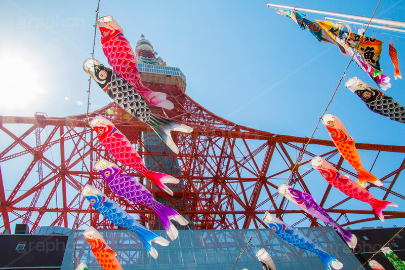 東京タワーと鯉のぼり,こいのぼり,鯉のぼり,5月5日,端午,節句,供物,こどもの日,子供の日,こども,子供,男の子,東京タワー,とうきょうタワー,Tokyo Tower,event,kids,港区,和,文化,japan,風習,行事,なびく