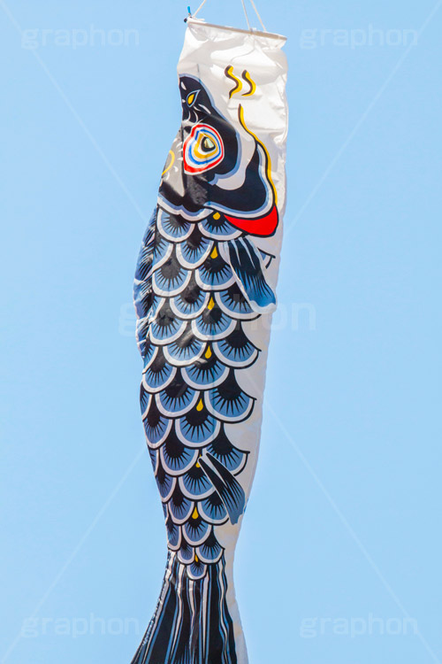 青空を泳ぐ鯉のぼり,こいのぼり,鯉のぼり,5月5日,端午,節句,供物,こどもの日,子供の日,こども,子供,男の子,東京タワー,とうきょうタワー,Tokyo Tower,event,kids,港区,和,文化,japan,風習,行事,なびく