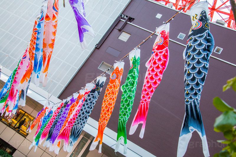 東京タワーの鯉のぼり,こいのぼり,鯉のぼり,5月5日,端午,節句,供物,こどもの日,子供の日,こども,子供,男の子,東京タワー,とうきょうタワー,Tokyo Tower,event,kids,港区,和,文化,japan,風習,行事,なびく