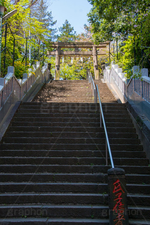西久保八幡神社,神社,八幡,港区,虎ノ門,参拝,お参り,鳥居,階段,石段,神谷町,japan,和