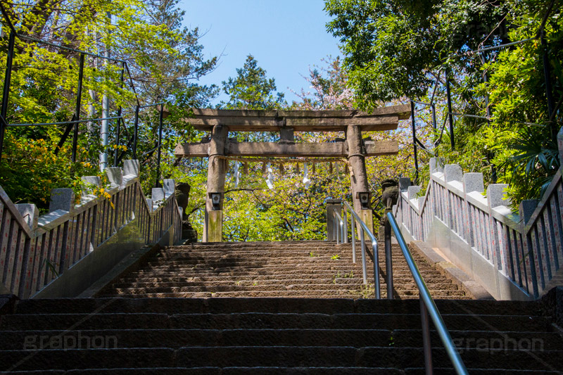 西久保八幡神社,神社,八幡,港区,虎ノ門,参拝,お参り,鳥居,階段,石段,神谷町,japan,和
