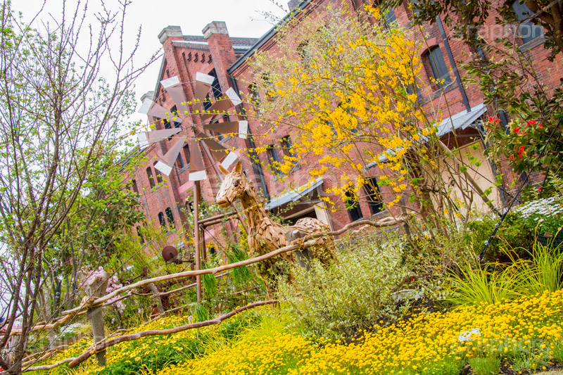 春の赤レンガ倉庫,春,花,フラワー,flower,spring,横浜,よこはま,赤レンガ倉庫,赤レンガ,みなとみらい,レンガ造り,商業施設,神奈川県,ベイサイド