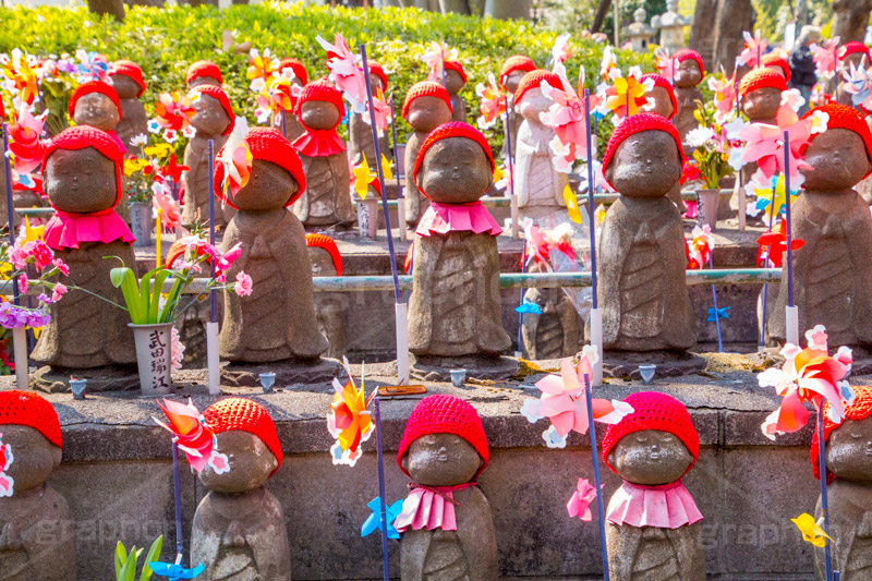 千躰子育地蔵尊,増上寺,芝公園,浄土宗,地蔵,お地蔵さん,子育て,安産,子供,こども,祈願,頭巾,赤い頭巾,風車,並ぶ,多い,大量,寺院,寺,参拝,重要文化財,文化財,港区,japan,temple,和