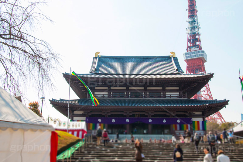 増上寺,寺,境内,行事,参拝,お参り,寺,芝公園,港区,東京タワー,タワー,塔,japan,temple,石段,階段