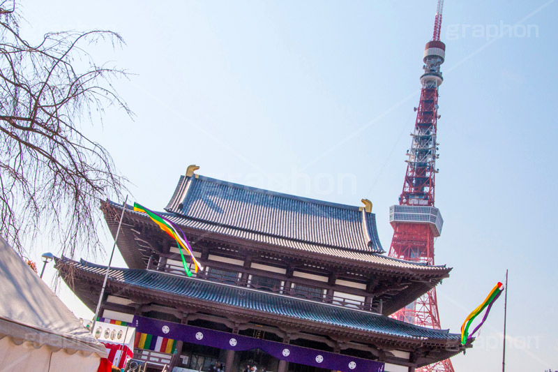 増上寺,寺,境内,行事,参拝,お参り,寺,芝公園,港区,東京タワー,タワー,塔,japan,temple