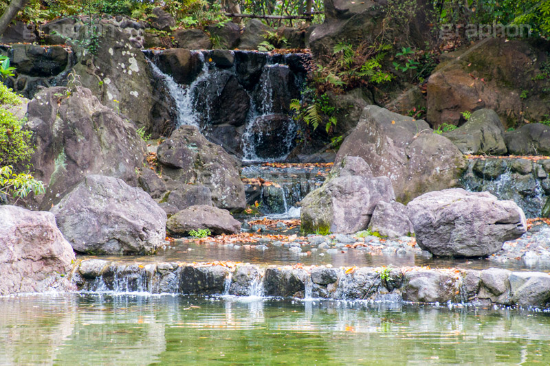 横浜公園の日本庭園,日本庭園,庭園,横浜,公園,神奈川,滝,池,park