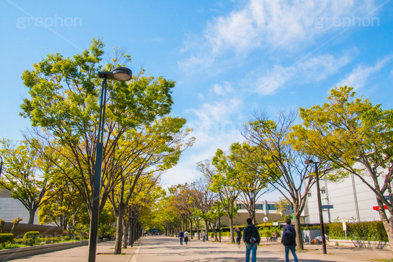 代々木公園,代々木,公園,渋谷,原宿,渋谷区,自然,草木,大きな木,樹木,憩い,park,tokyo