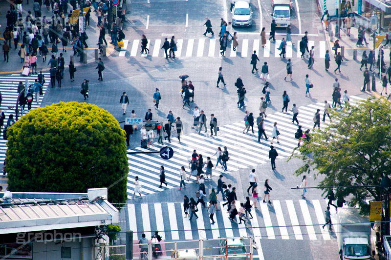 渋谷スクランブル交差点,渋谷,しぶや,ハチ公,観光,交差点,渋谷駅,駅前,スクランブル,外国人,海外,道玄坂,横断歩道,信号,雑踏,都会の雑踏,混む,混雑,人混み,人々,渡る,歩く,人物,japan,shibuya