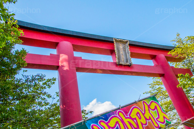 亀戸天満神の鳥居,亀戸天満神,亀戸天神,亀戸天満宮,東宰府天満宮,鳥居,神社,参拝,江東区,亀戸,天満宮,菅原道真,学問,天満大自在天神,天菩日命,japan