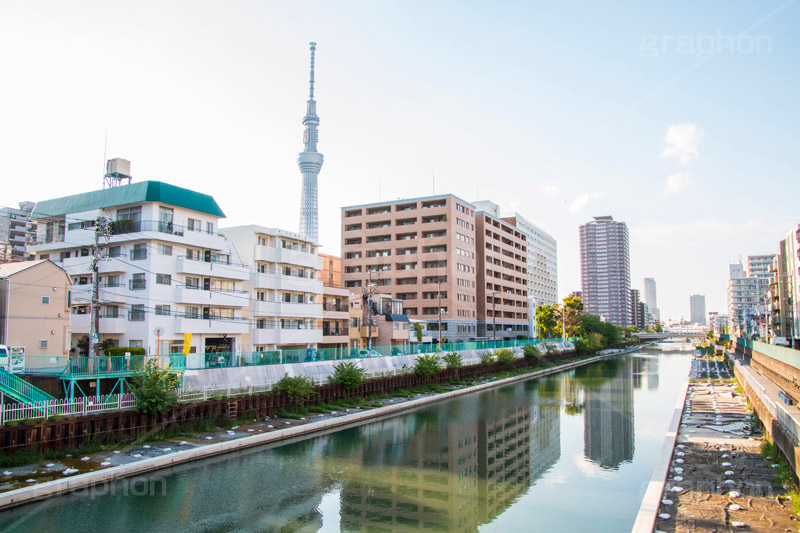 天神橋,亀戸,横十間川,橋,はし,川,河川,青い橋,蔵前橋通り,墨田区,江東区,スカイツリー,塔,タワー,tower,skytree,japan